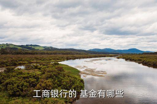 華安中小盤成長(zhǎng)基金凈值,華安小盤成長(zhǎng)混合基金