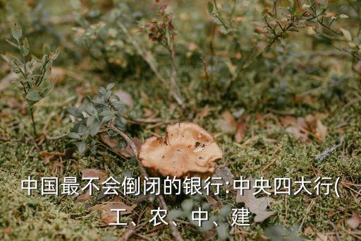 中國(guó)最不會(huì)倒閉的銀行:中央四大行(工、農(nóng)、中、建