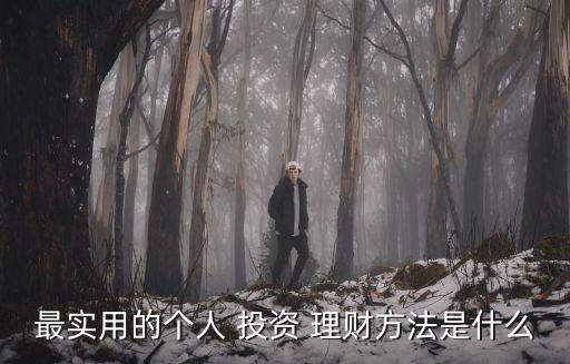 最實用的個人 投資 理財方法是什么