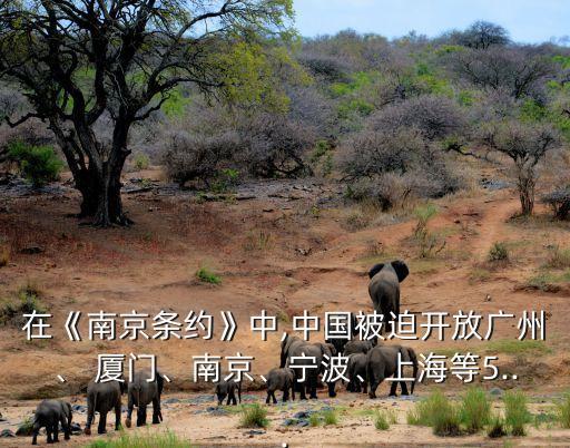 在《南京條約》中,中國被迫開放廣州、 廈門、南京、寧波、上海等5...