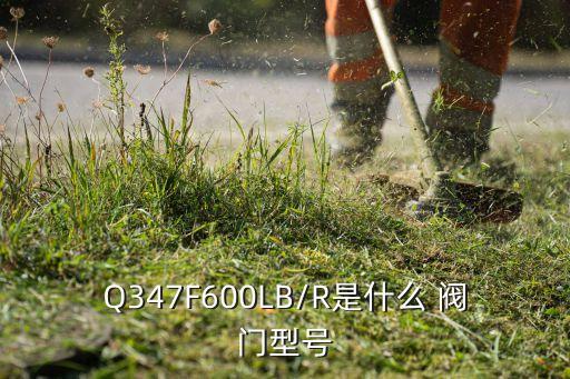 Q347F600LB/R是什么 閥門(mén)型號(hào)