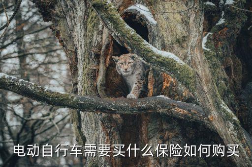 電動(dòng)自行車需要買什么保險(xiǎn)如何購(gòu)買