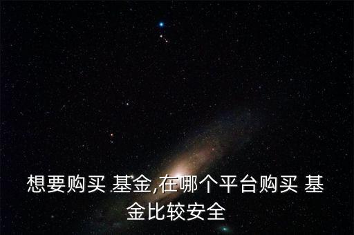 想要購(gòu)買 基金,在哪個(gè)平臺(tái)購(gòu)買 基金比較安全