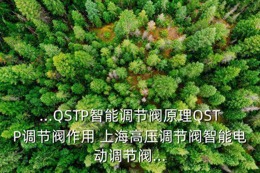 ...QSTP智能調(diào)節(jié)閥原理QSTP調(diào)節(jié)閥作用 上海高壓調(diào)節(jié)閥智能電動調(diào)節(jié)閥...