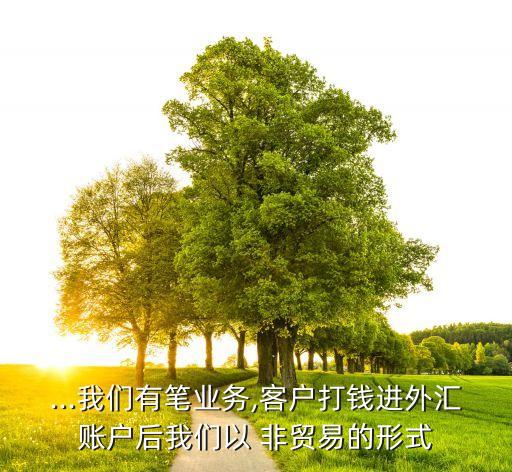 ...我們有筆業(yè)務(wù),客戶(hù)打錢(qián)進(jìn)外匯賬戶(hù)后我們以 非貿(mào)易的形式