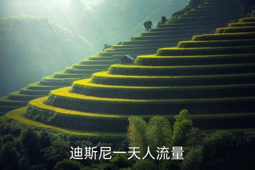 上海迪士尼開園后人數