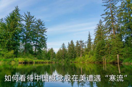 中國做空美國,美國三大做空機構