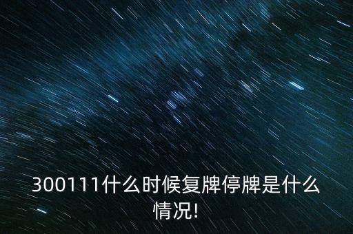 300111什么時候復牌停牌是什么情況!