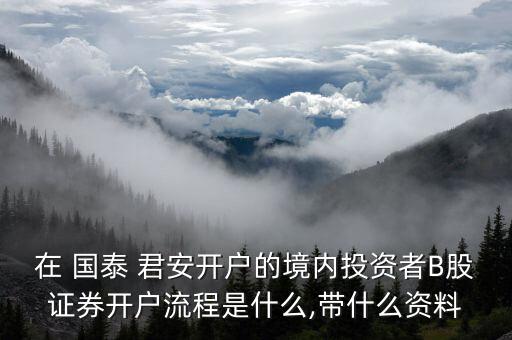 在 國(guó)泰 君安開戶的境內(nèi)投資者B股證券開戶流程是什么,帶什么資料