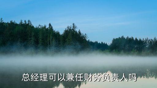  總經(jīng)理可以兼任財務(wù)負責(zé)人嗎
