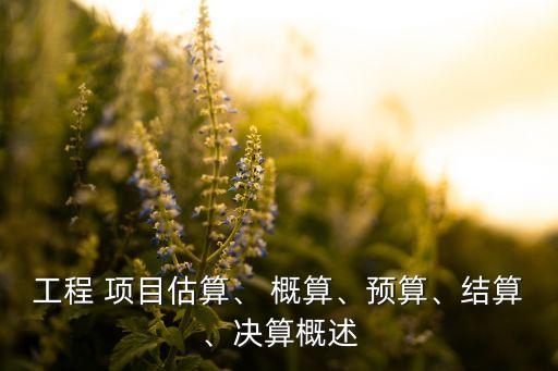 工程 項目估算、 概算、預(yù)算、結(jié)算、決算概述