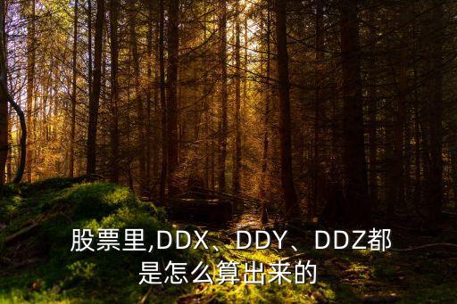  股票里,DDX、DDY、DDZ都是怎么算出來的
