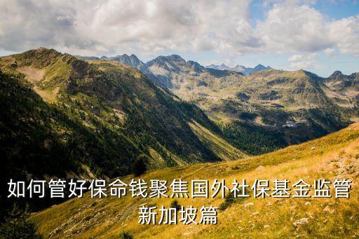 如何管好保命錢聚焦國(guó)外社?；鸨O(jiān)管新加坡篇
