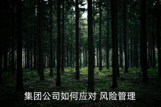 集團(tuán)公司如何應(yīng)對 風(fēng)險管理