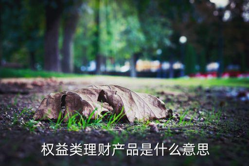  權益類理財產(chǎn)品是什么意思