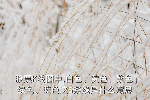  股票K線(xiàn)圖中,白色、黃色、紫色、綠色、藍(lán)色這5條線(xiàn)是什么意思