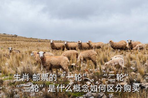  生肖 郵票的“一輪”、“二輪”、“ 三輪”是什么概念如何區(qū)分購買