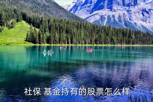 2014社?；鹬貍}股,社?；鹬貍}股有哪些