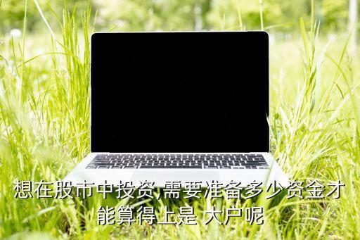 想在股市中投資,需要準(zhǔn)備多少資金才能算得上是 大戶呢