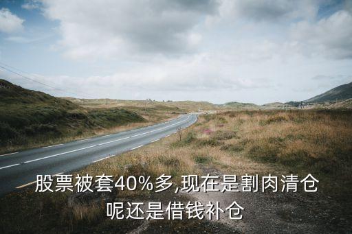  股票被套40%多,現(xiàn)在是割肉清倉呢還是借錢補(bǔ)倉