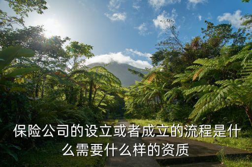  保險公司的設立或者成立的流程是什么需要什么樣的資質