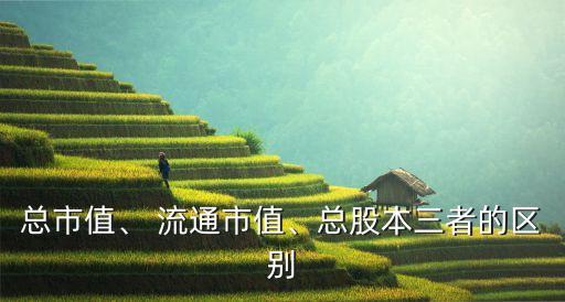 總市值、 流通市值、總股本三者的區(qū)別