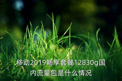 移動2019暢享套餐12830g國內流量包是什么情況