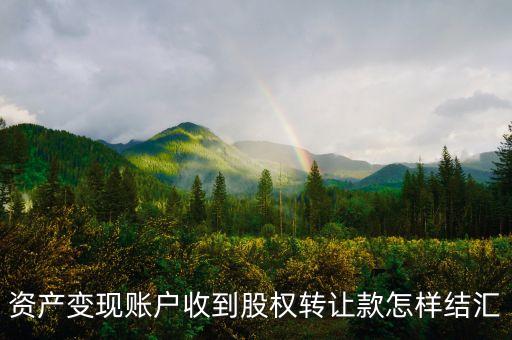 資產(chǎn)變現(xiàn)賬戶(hù)收到股權(quán)轉(zhuǎn)讓款怎樣結(jié)匯