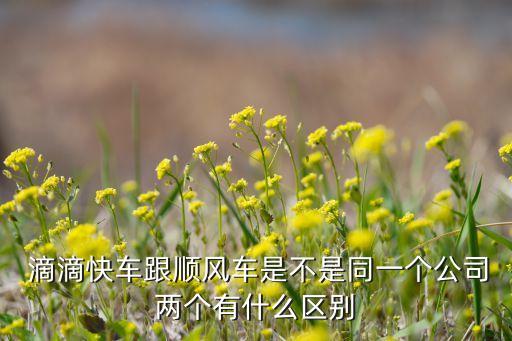  滴滴快車跟順風車是不是同一個公司兩個有什么區(qū)別
