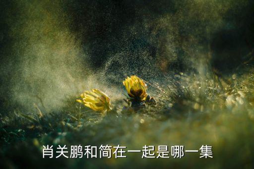 肖關鵬和簡在一起是哪一集