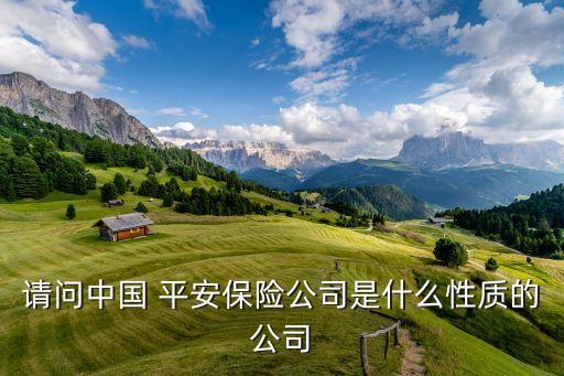 請問中國 平安保險(xiǎn)公司是什么性質(zhì)的公司