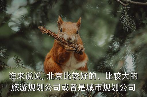 誰來說說, 北京比較好的、比較大的旅游規(guī)劃公司或者是城市規(guī)劃公司