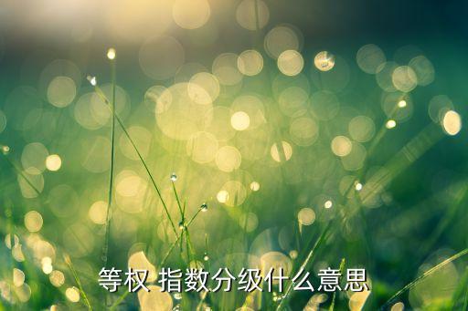 等權 指數分級什么意思