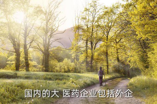 國內的大 醫(yī)藥企業(yè)包括外企