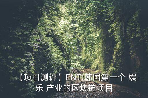【項目測評】ENT:韓國第一個 娛樂 產業(yè)的區(qū)塊鏈項目