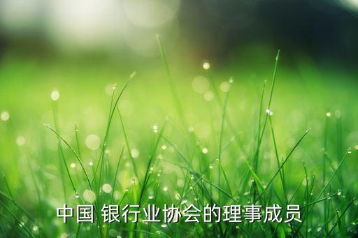 中國(guó) 銀行業(yè)協(xié)會(huì)的理事成員