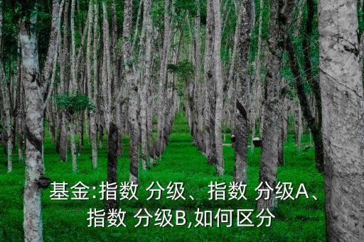  基金:指數(shù) 分級、指數(shù) 分級A、指數(shù) 分級B,如何區(qū)分