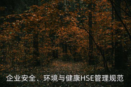 企業(yè)安全、環(huán)境與健康HSE管理規(guī)范