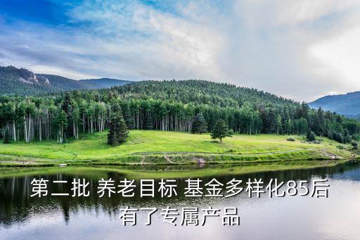 第二批 養(yǎng)老目標(biāo) 基金多樣化85后有了專(zhuān)屬產(chǎn)品