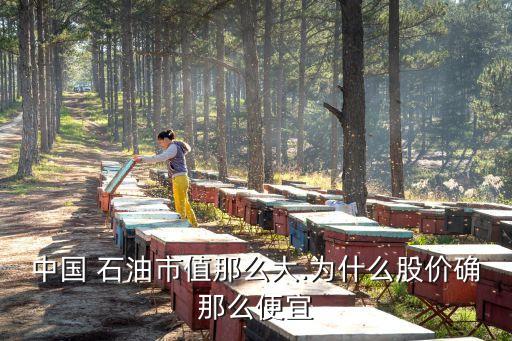 中國 石油市值那么大.為什么股價(jià)確那么便宜