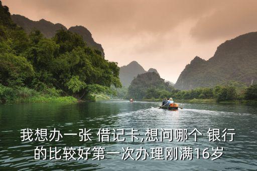 我想辦一張 借記卡,想問哪個(gè) 銀行的比較好第一次辦理剛滿16歲