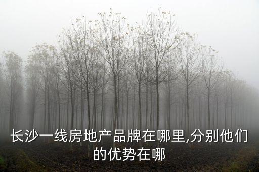 長(zhǎng)沙一線房地產(chǎn)品牌在哪里,分別他們的優(yōu)勢(shì)在哪