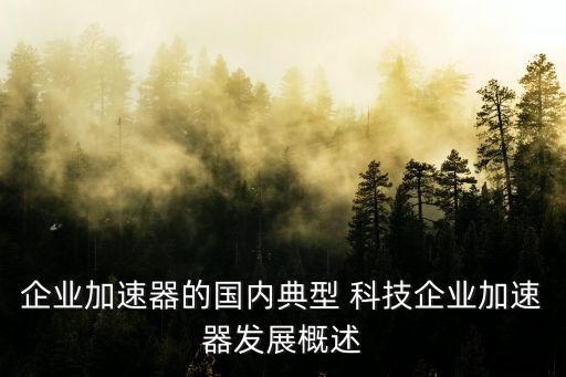 企業(yè)加速器的國(guó)內(nèi)典型 科技企業(yè)加速器發(fā)展概述
