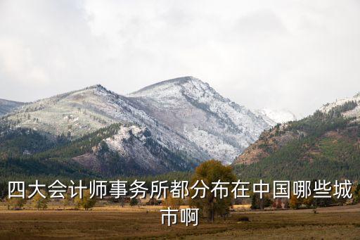 四大會計師事務所都分布在中國哪些城市啊