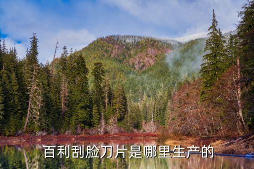  百利刮臉刀片是哪里生產的