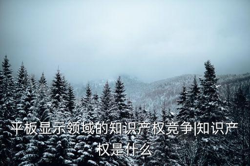 平板顯示領域的知識產(chǎn)權競爭|知識產(chǎn)權是什么