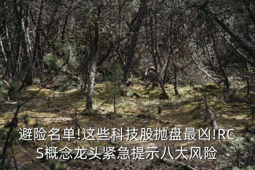 避險(xiǎn)名單!這些科技股拋盤(pán)最兇!RCS概念龍頭緊急提示八大風(fēng)險(xiǎn)