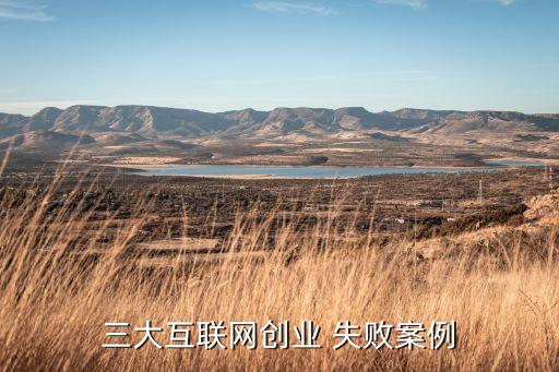 三大互聯(lián)網創(chuàng)業(yè) 失敗案例