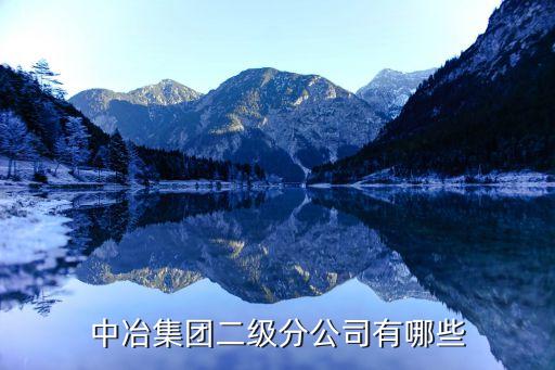 中冶集團(tuán)二級分公司有哪些