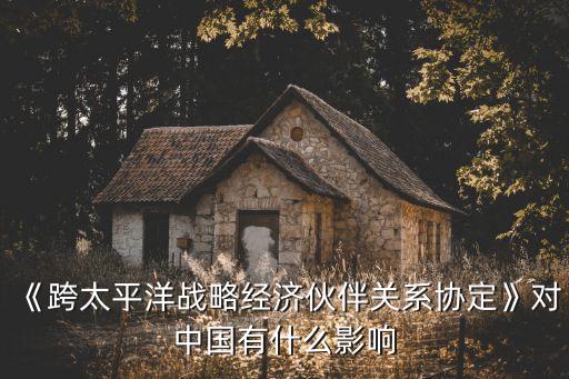 《跨太平洋戰(zhàn)略經濟伙伴關系協(xié)定》對中國有什么影響
